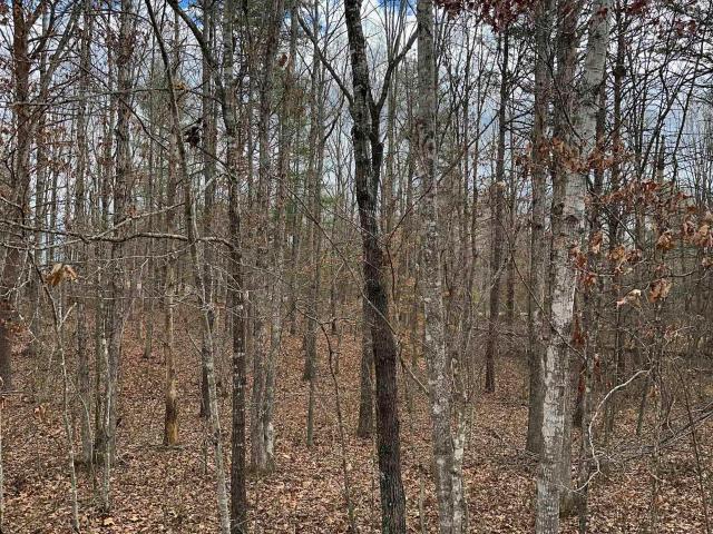 Land for sale in Virginia
