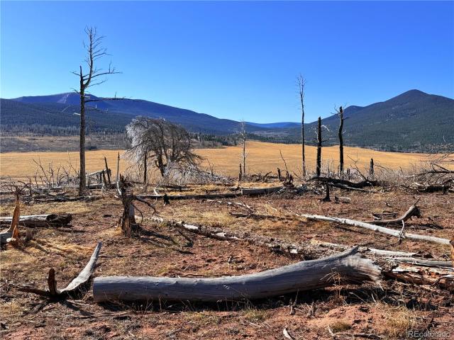 Land for sale in Fort Garland, Colorado