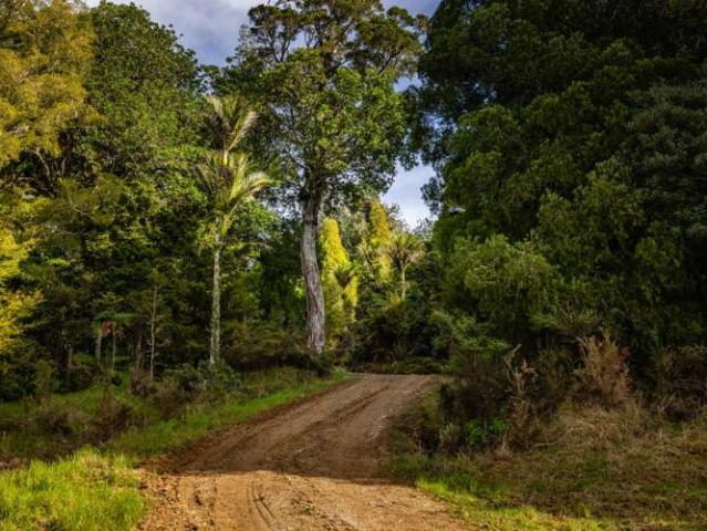 Property for sale in Karetu, Northland