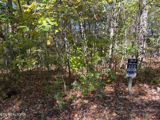 Land for sale in Rock Harbor, New Tazewell