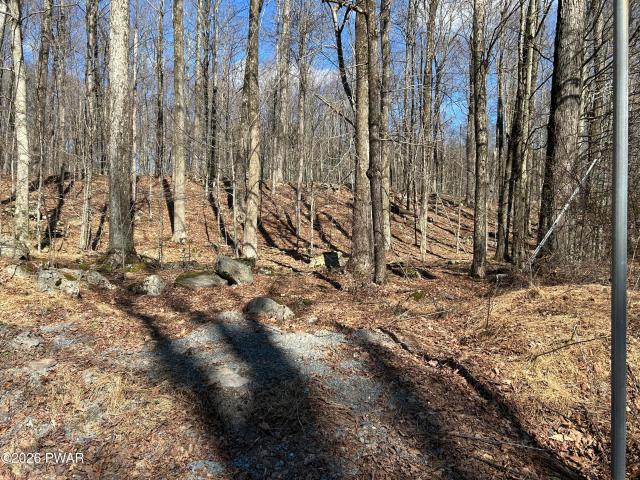 Land for sale in Greene Township, Pike County