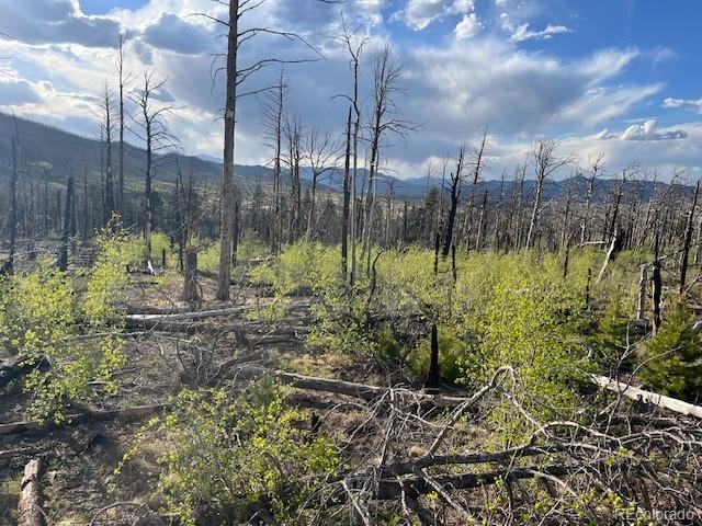 Land for sale in Fort Garland, Colorado