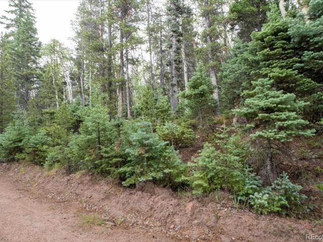 Land for sale in Fort Garland, Colorado