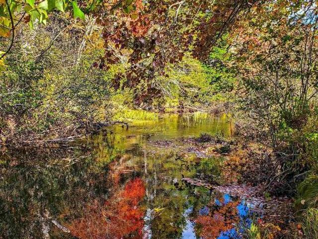 Land for sale in Colchester, Nova Scotia