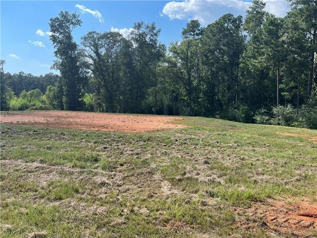 Land for sale in Dry Prong, Grant Parish