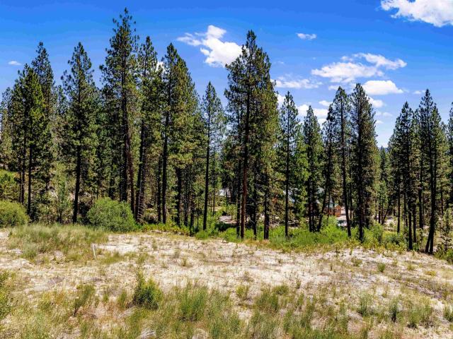 Land for sale in Idaho City, Idaho