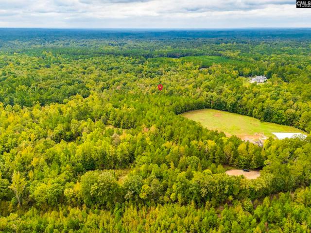 Land for sale in Ridgeway, South Carolina