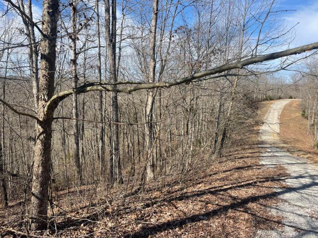 Land for sale in Monticello, Kentucky