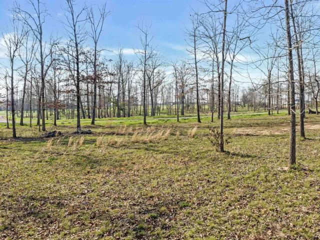 Land for sale in Rainsville, Alabama
