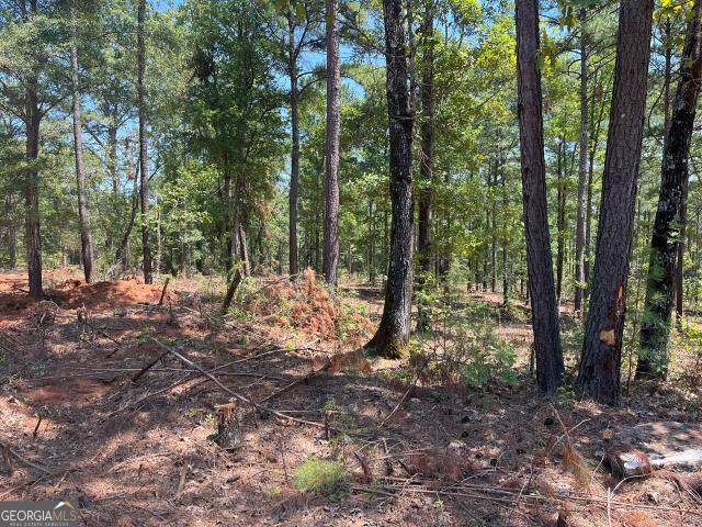 Land for sale in Forsyth, Georgia