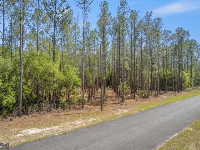 Land for sale in Georgia