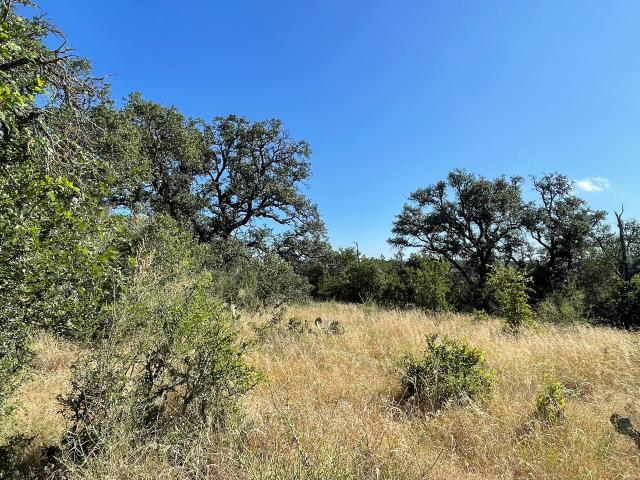 Land for sale in Burnet, Texas