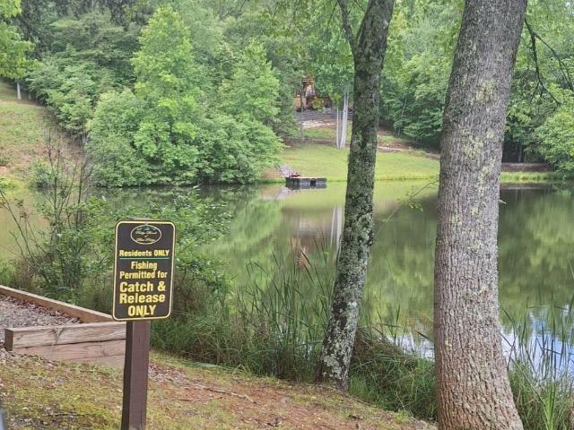 Land for sale in Morganton, Georgia