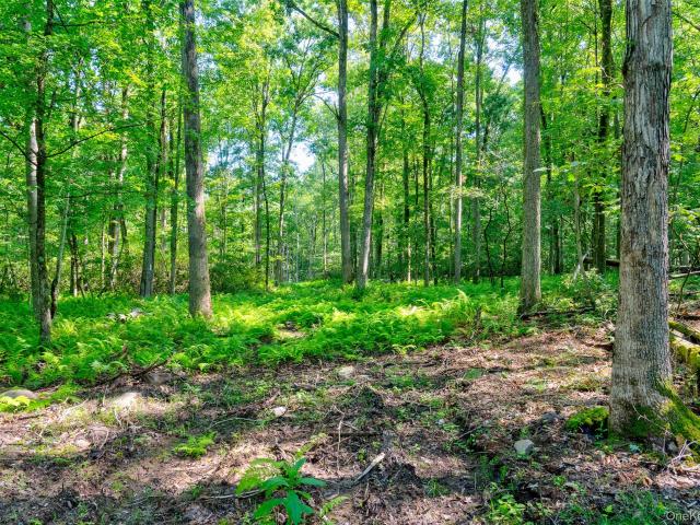 Land for sale in Town of Tusten, Sullivan County