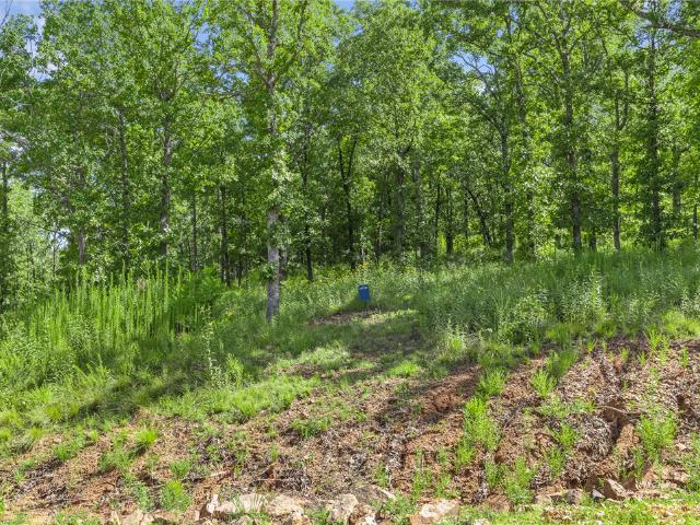 Land for sale in Ark