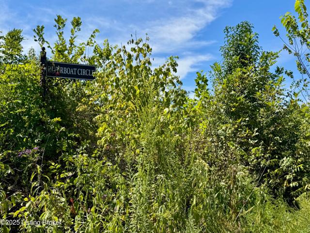 Land for sale in Kentucky