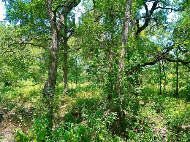Land for sale in Bertram, Burnet County