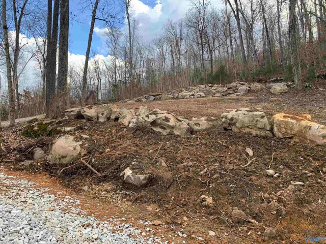 Land for sale in Grant, Alabama