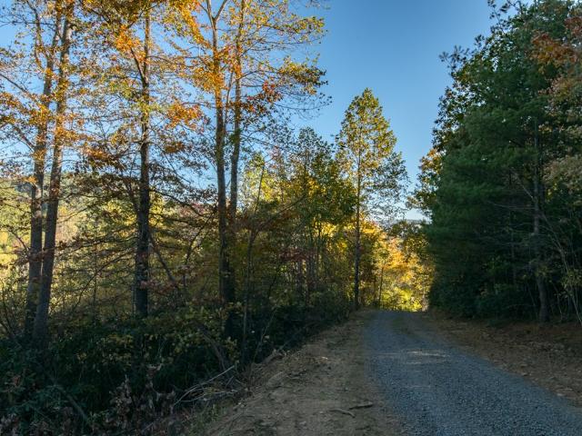 Land for sale in Virginia