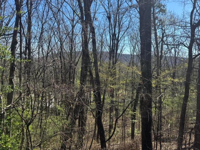 Land for sale in Georgia