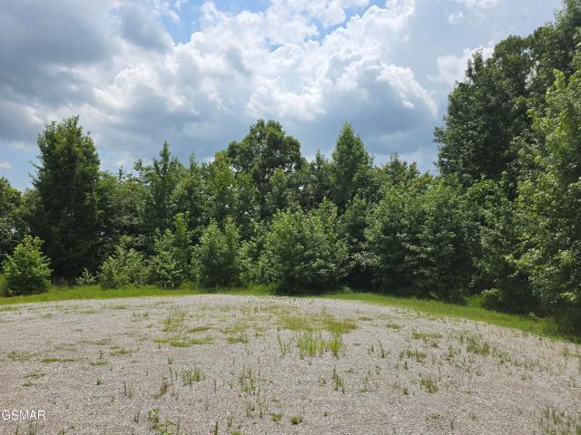 Land for sale in Tennessee