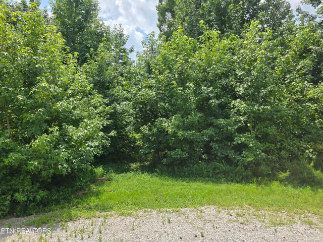 Land for sale in Tennessee