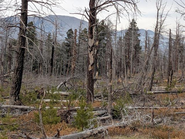 Land for sale in Fort Garland, Colorado