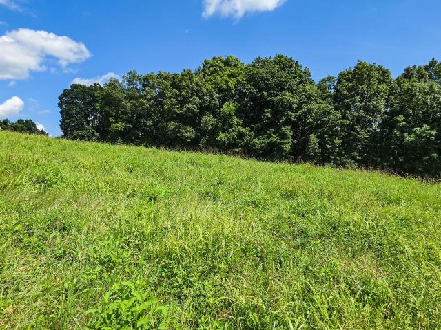 Land for sale in Tennessee