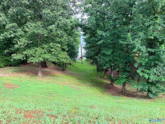 Land for sale in Scottsboro, Alabama
