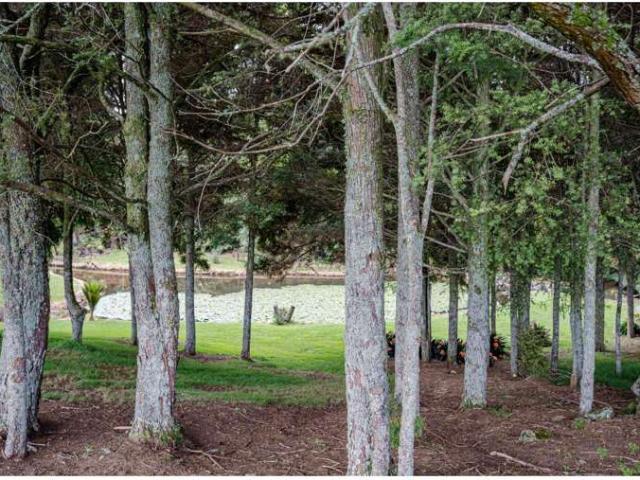 Land for sale in Karetu, Northland
