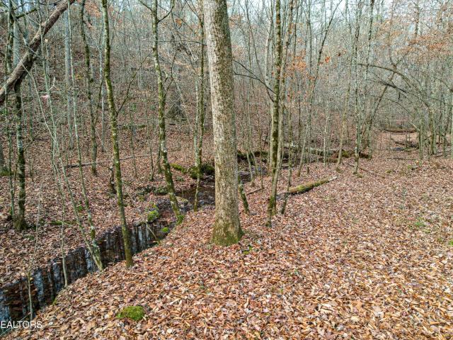 Land for sale in Riceville