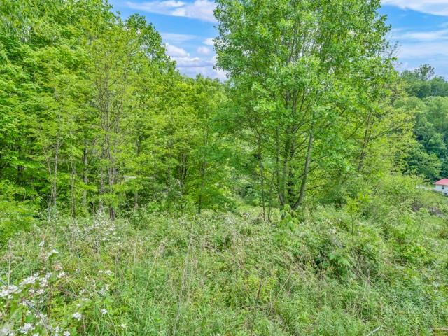 Land for sale in Watauga, North Carolina