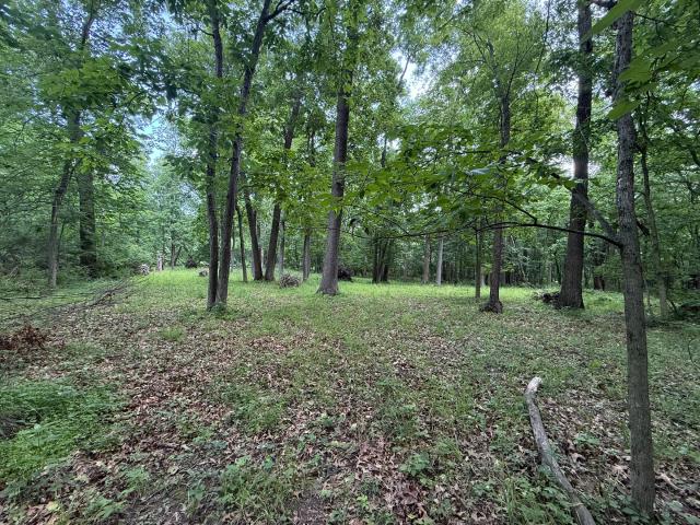 Land for sale in Bureau, Illinois
