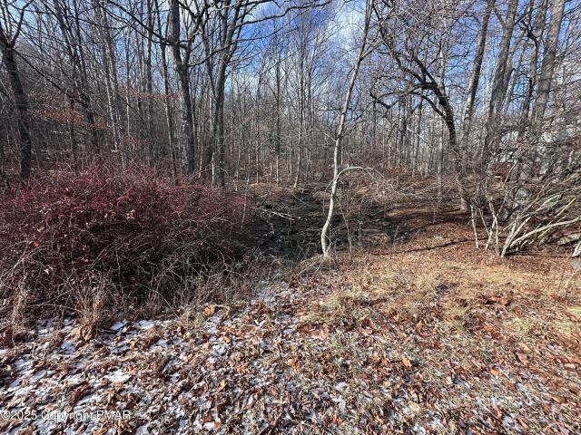 Land for sale in Dingmans Ferry, Pennsylvania