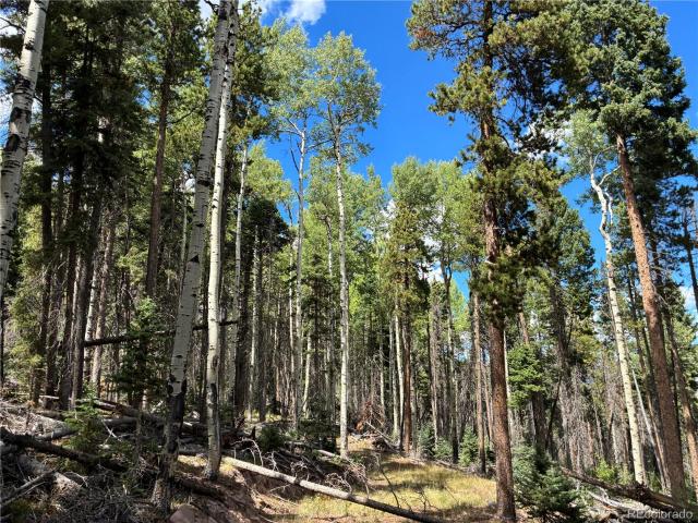 Land for sale in Fort Garland, Costilla County