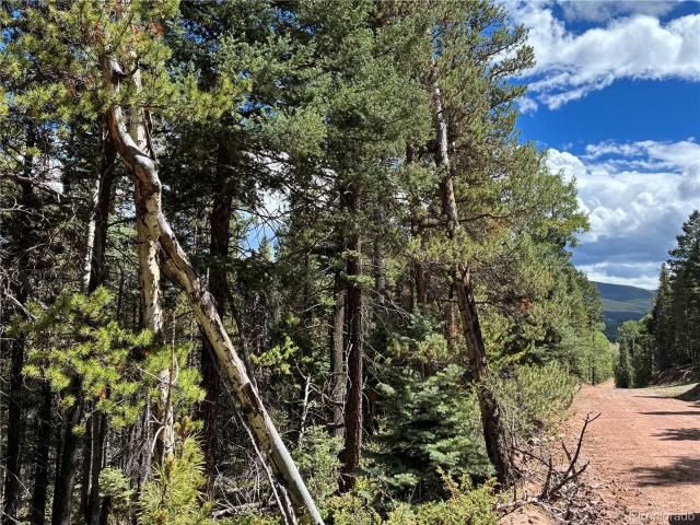 Land for sale in Fort Garland, Costilla County