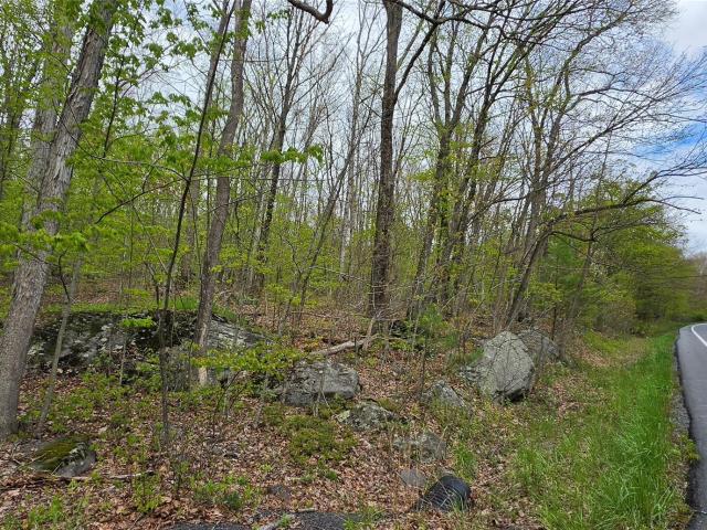 Land for sale in Barryville, New York