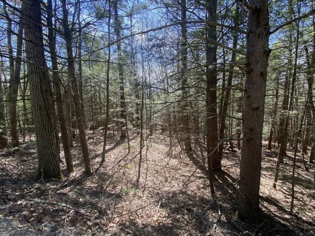 Land for sale in Charlemont, Massachusetts
