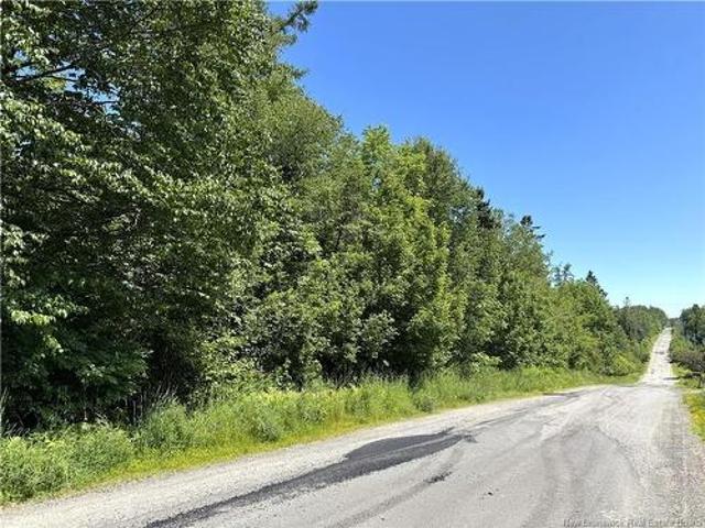 Land for sale in Charlotte, New Brunswick