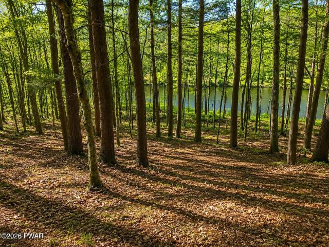 Land for sale in Beach Lake, Pennsylvania