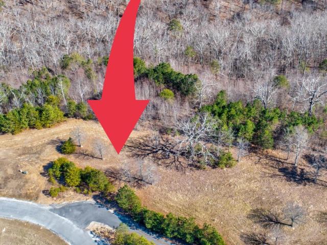 Land for sale in Cedar Bluff, Alabama