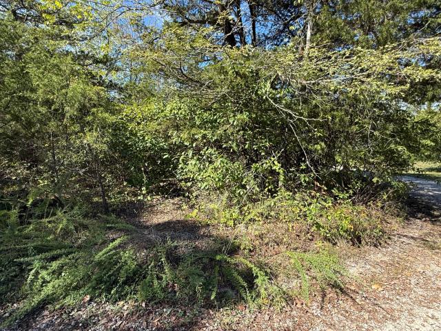 Land for sale in Stone, Missouri