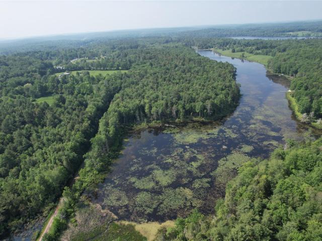 Land for sale in Bethel, New York
