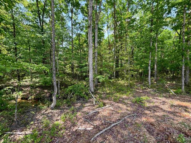 Land for sale in Sheridan