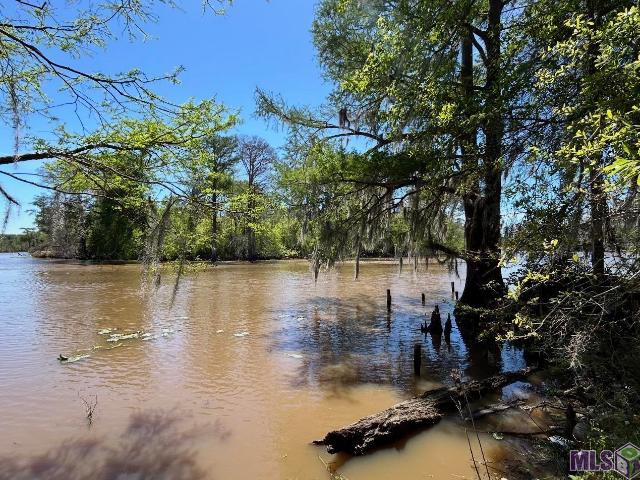 Land for sale in French Settlement, Louisiana
