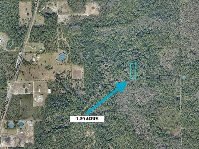 Land for sale in Lake Helen, Volusia County