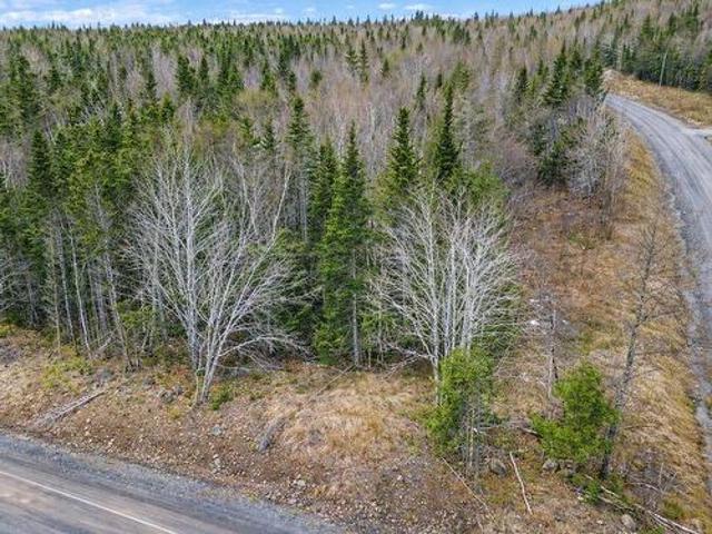 Land for sale in Cleveland, Nova Scotia