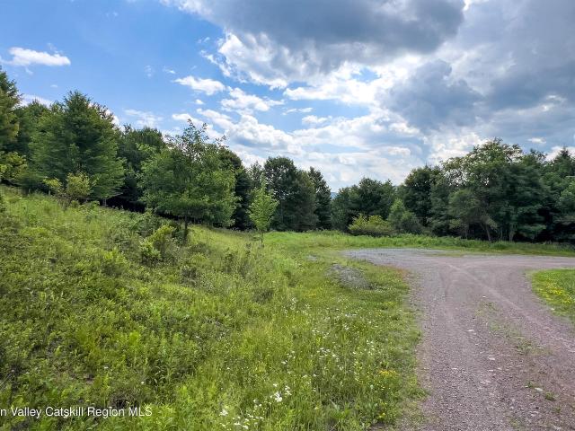 Land for sale in Bloomville, New York