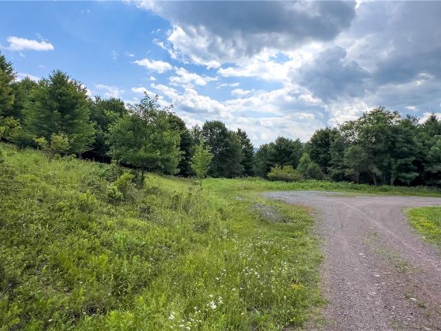 Land for sale in Bloomville, New York