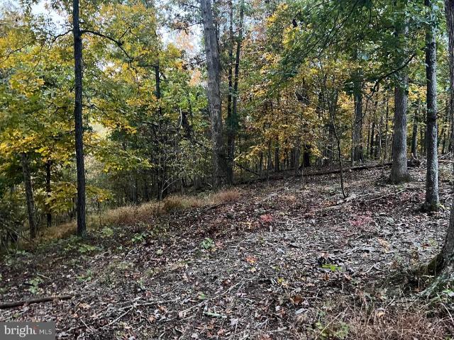 Land for sale in Virginia